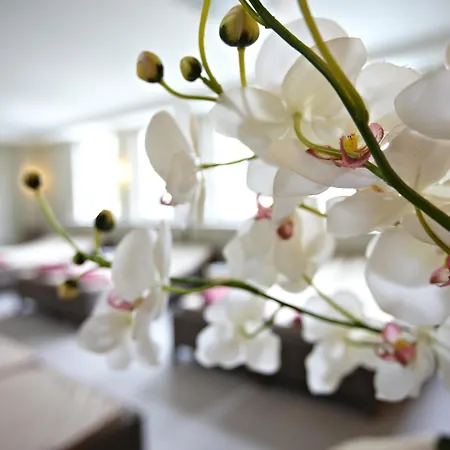 Strandhotel Otel Zingst