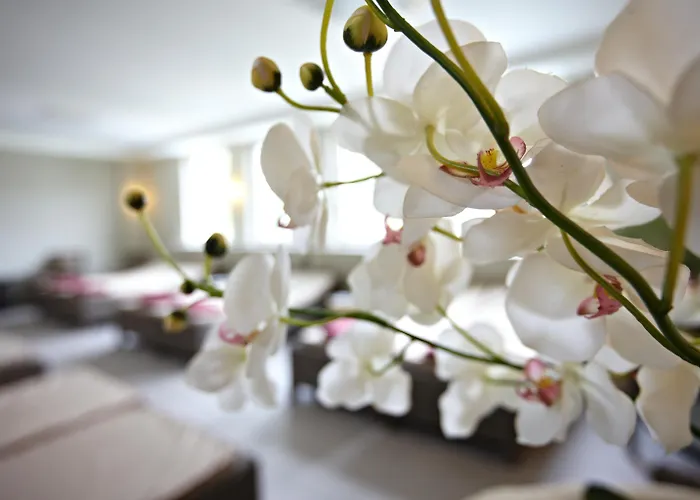 Strandhotel Hotel Ostseeheilbad Zingst